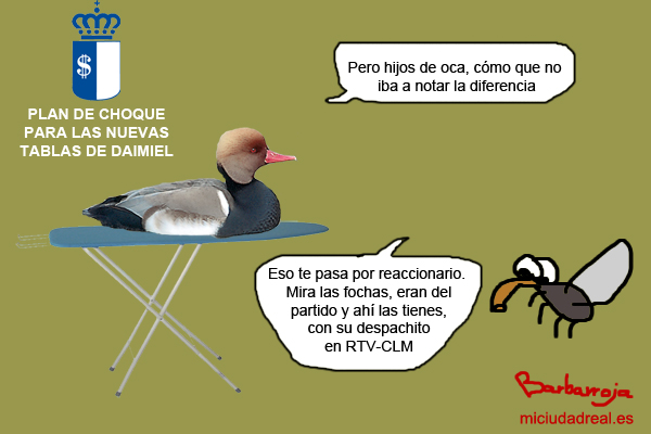 Plan de Choque para Las Tablas de Daimiel