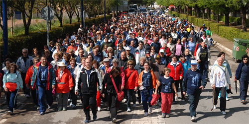 “Paseando por la vida” abre el periodo de inscripciones