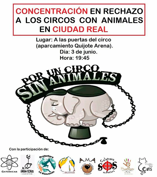 Colectivos Animalistas Volverán A Concentrarse A Las Puertas Del Circo ...