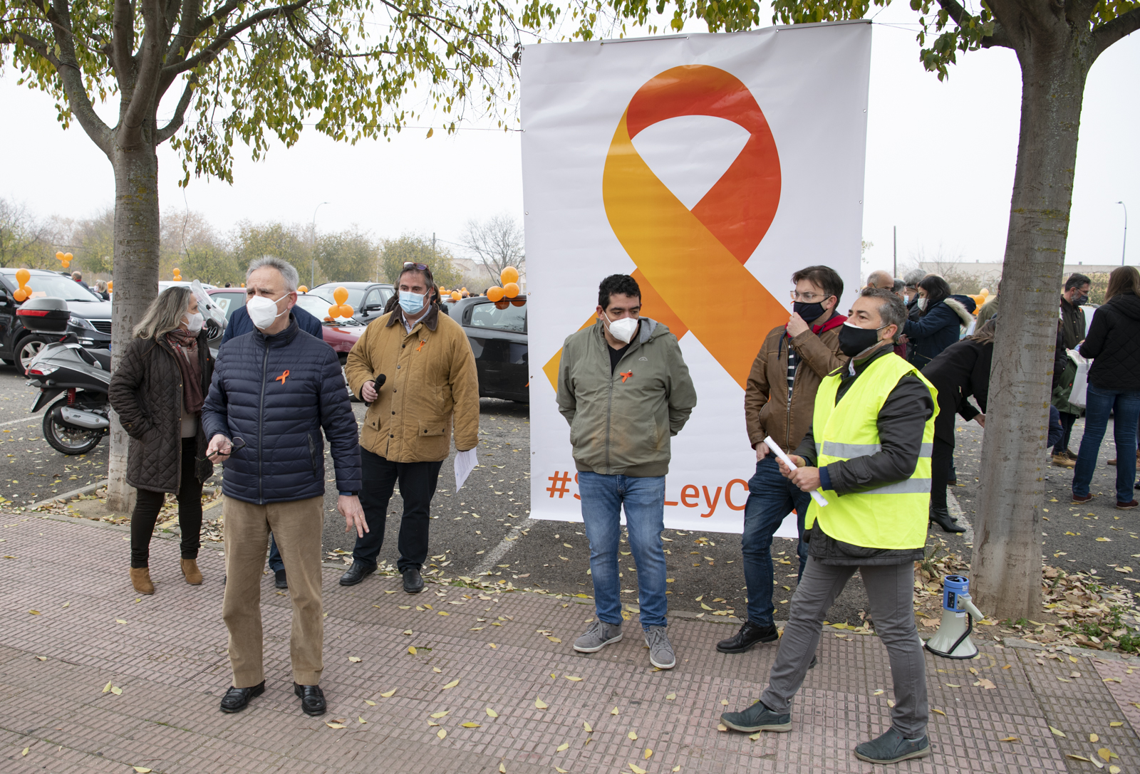 Ciudad Real se suma a las protestas contra la Ley Celaá con una  multitudinaria manifestación | MiCiudadReal.es